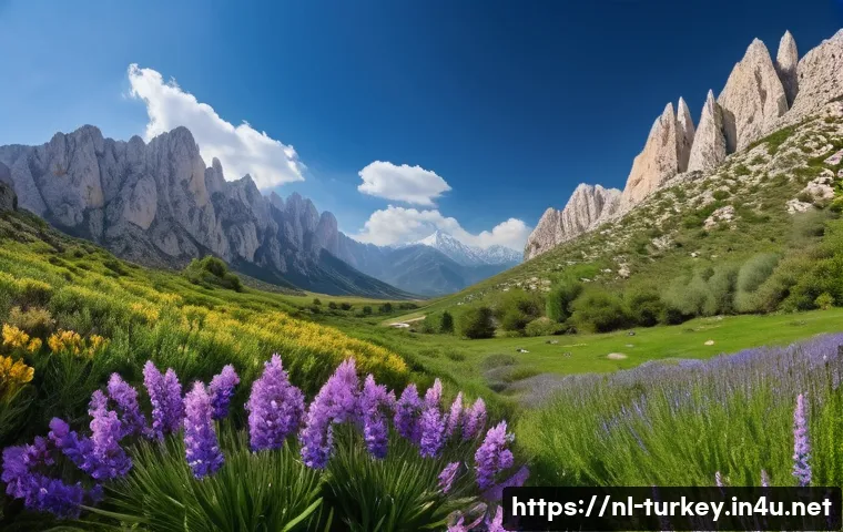 튀르키예에서의 자연 환경 투어 - A breathtaking panoramic view of the Taurus Mountains in southern Turkey during springtime, showcasi...